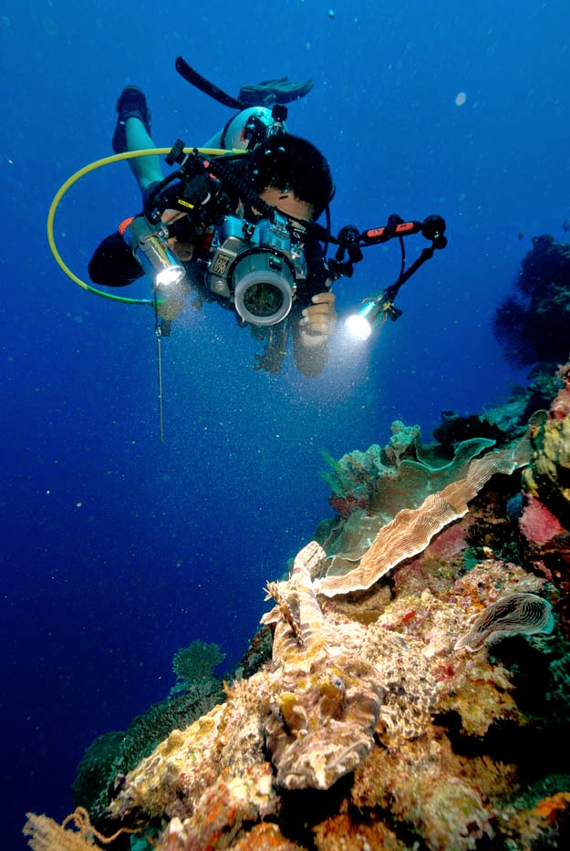 Wisata bawah laut Kepulauan Derawan