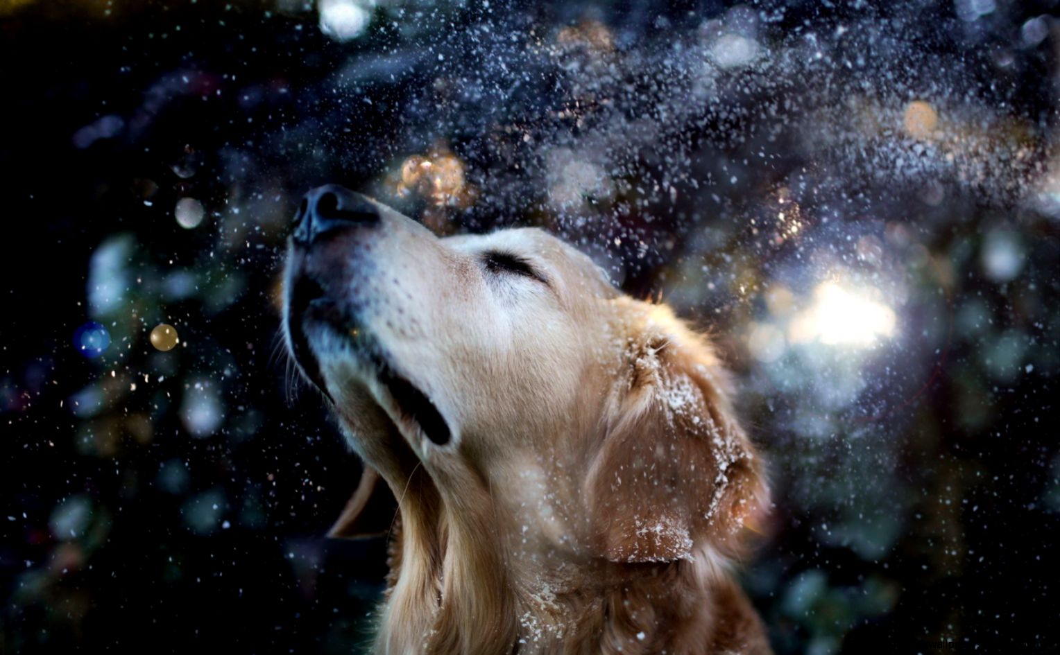 Category Macro Photography Page 3