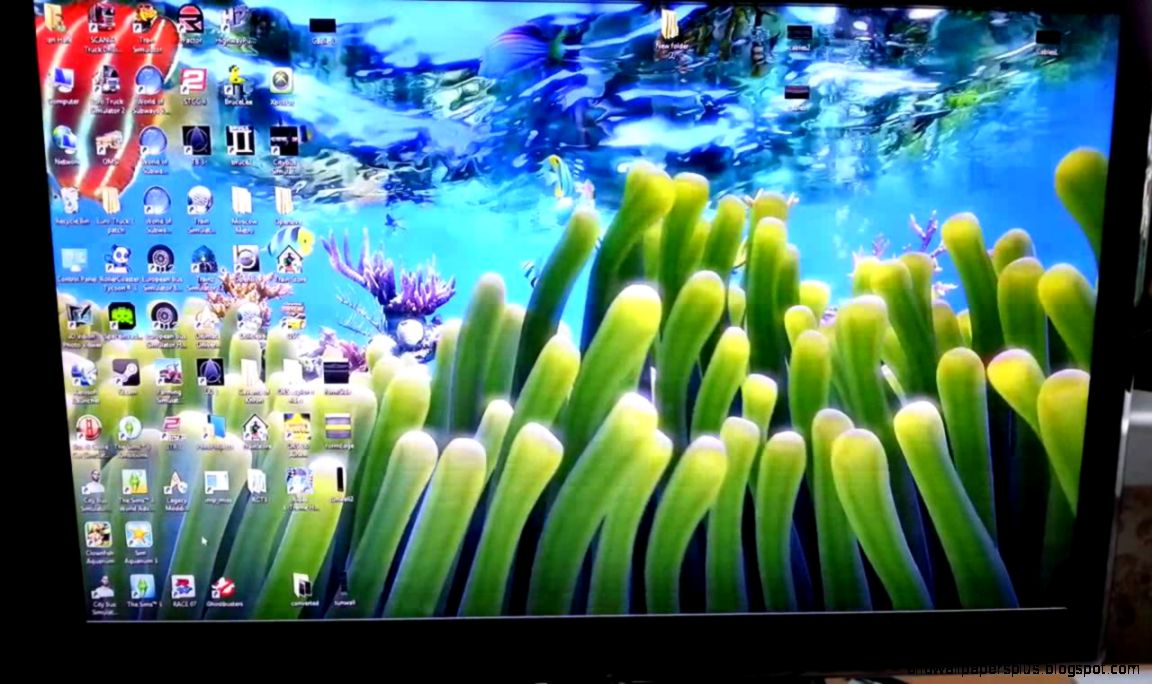 Sim Aquarium 3 live wallpaper mode in Windows 8   YouTube