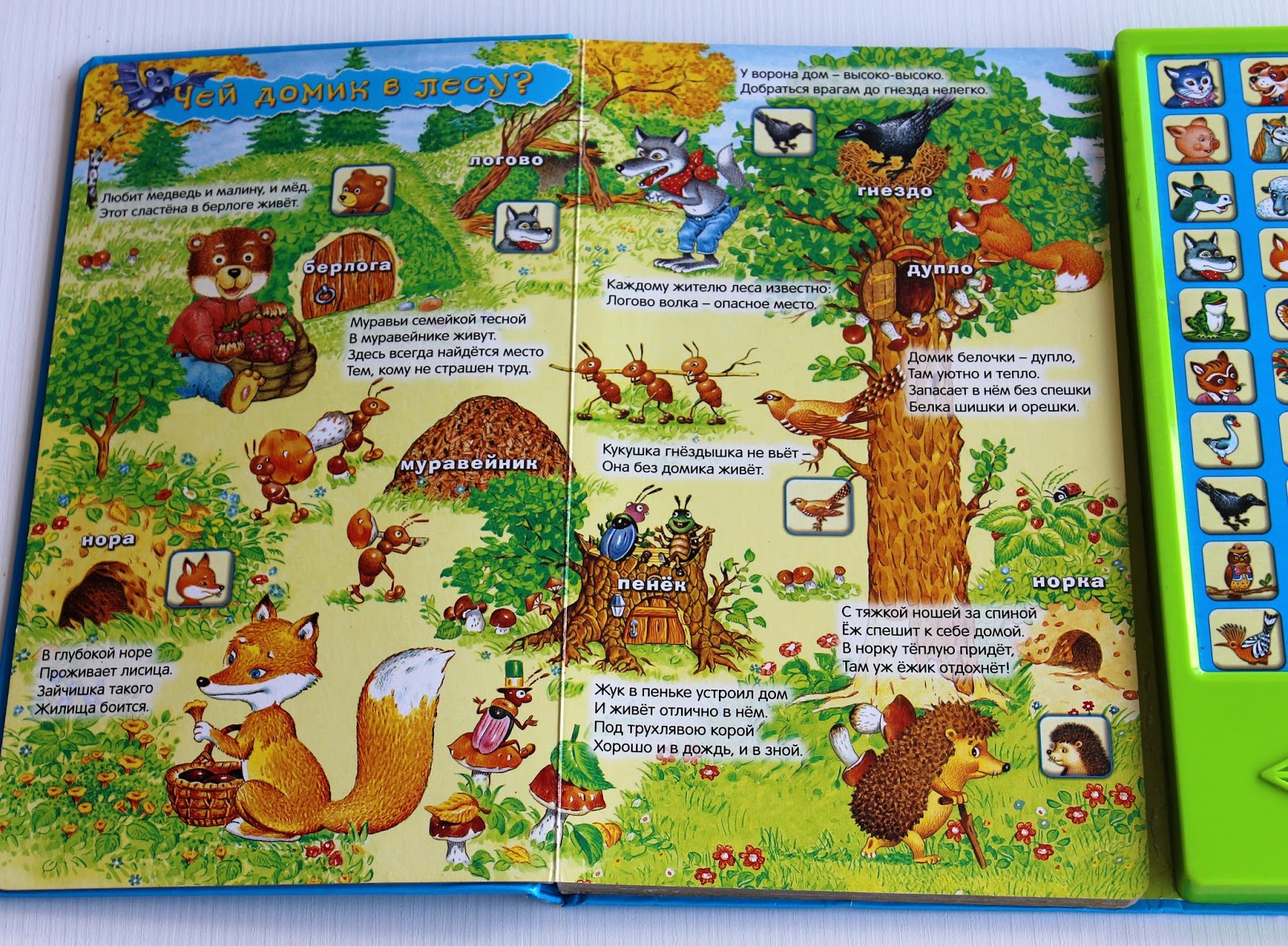 детские книжки со звуками. интерактивная книжка для детей. интерактивные книги для детей. интерактивная книга для малышей. музыкальная книжка vtech.