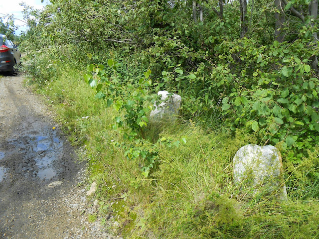 Каменные столбы старинной плотины на озере Киреты