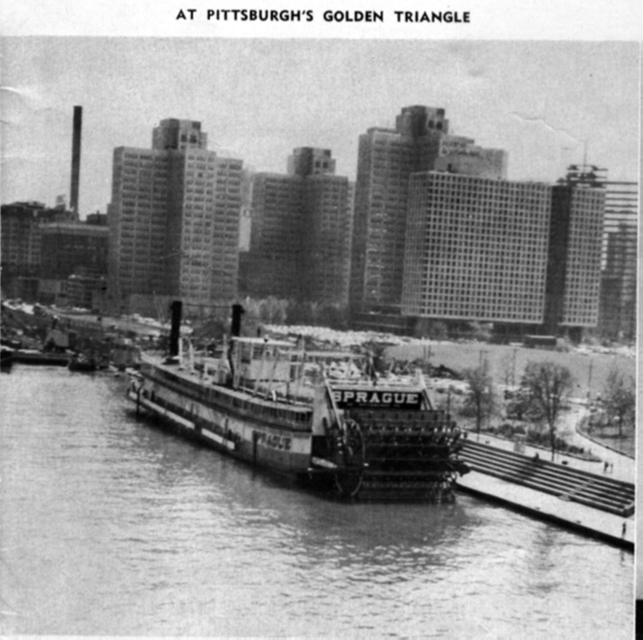 Urban Decay Gold in the Hills and the "Sprague"