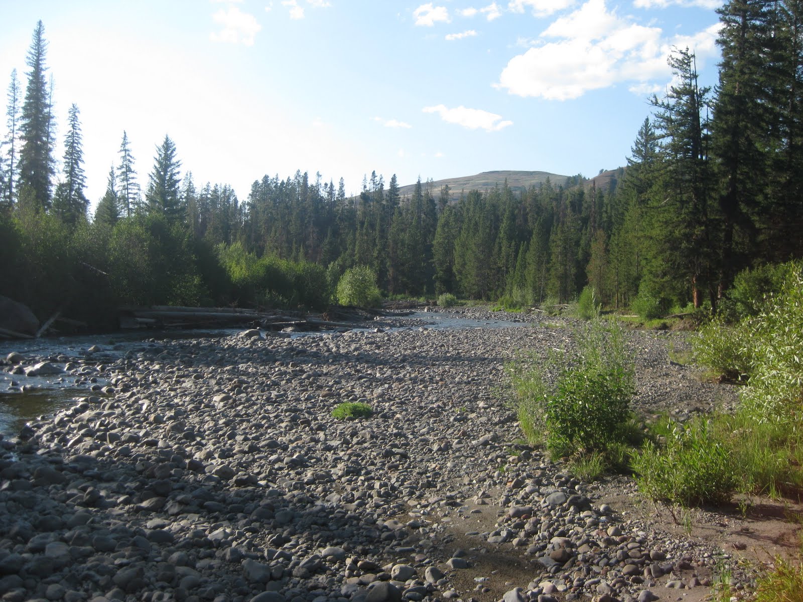 SOUTHWEST ANGLER CACHE CREEK/HELLROARING CREEKYNP