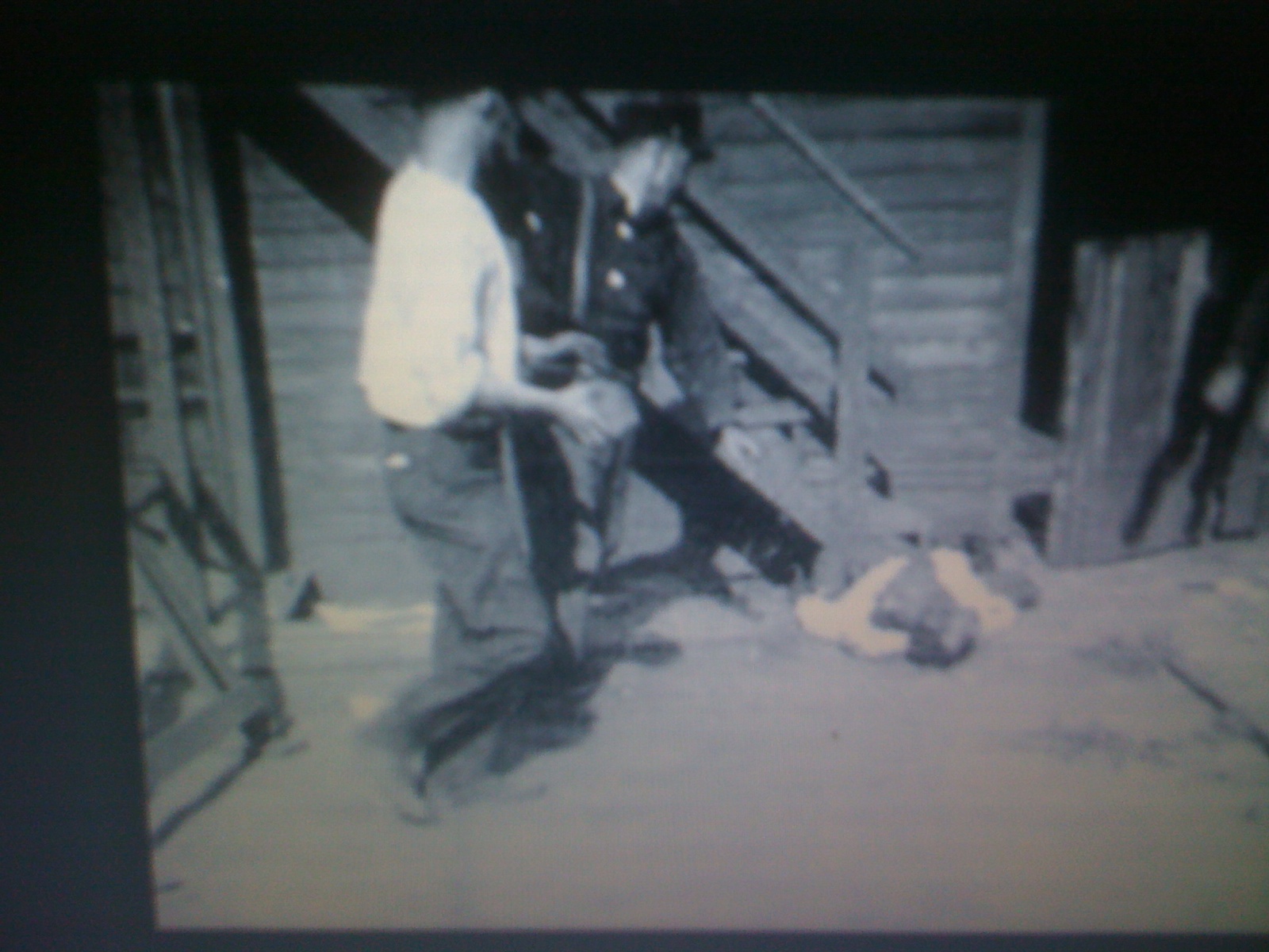 THE BLACK SOCIAL HISTORY BLACK SOCIAL HISTORY THE ELAINE RACE RIOT