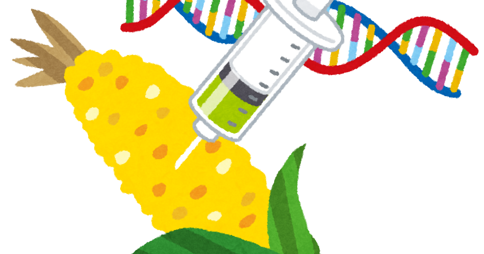 無料イラスト かわいいフリー素材集 遺伝子組み換え食品のイラスト とうもろこし