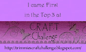 C.R.A.F.T Challenge Top3