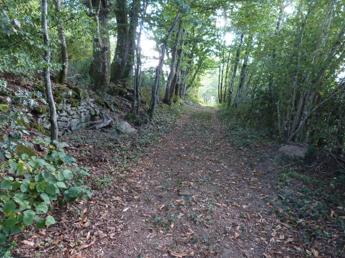 Amur Chemin de Bellevue