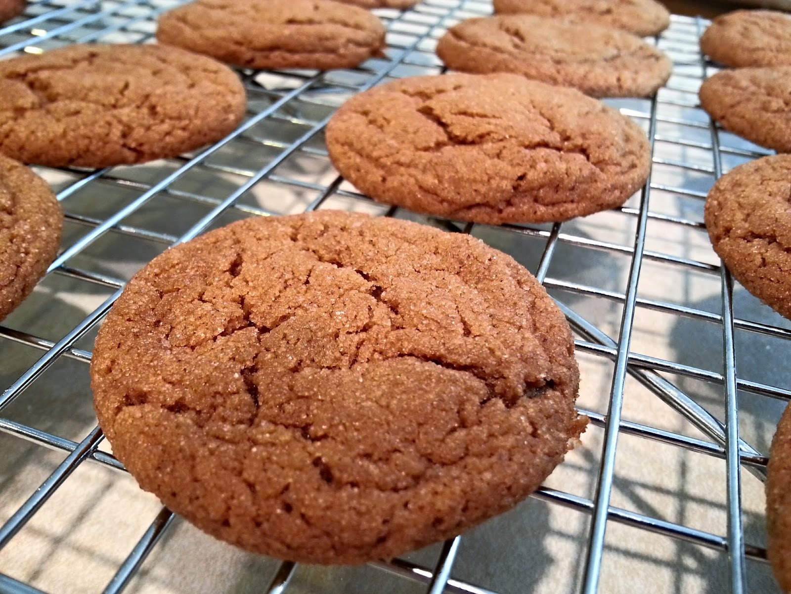 GingerBuilders Chewy Molasses Cookies