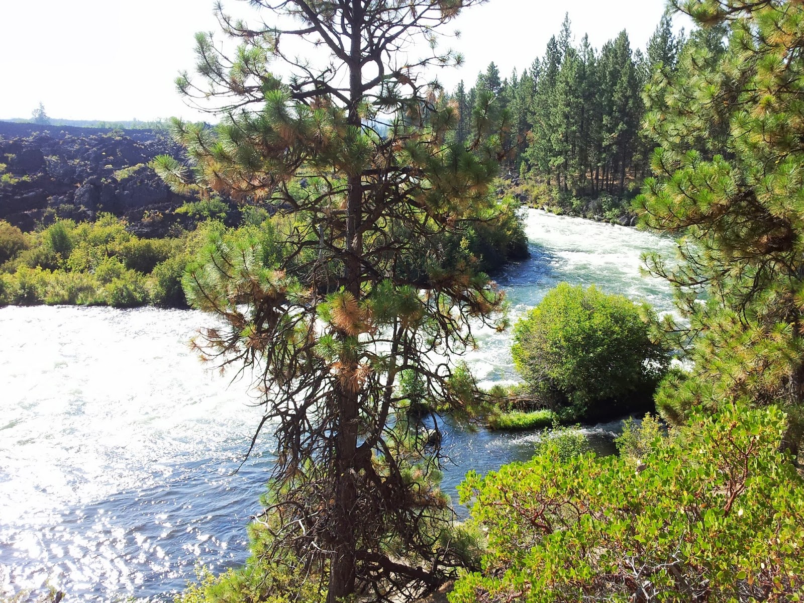 Charlie Bottita's Adventures Deschutes River Trail Mountain Bike Ride
