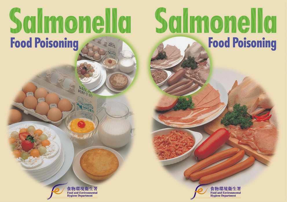 Salmonella