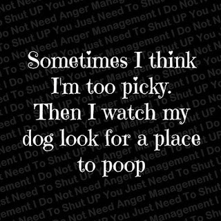 funny dog quotes, dog place to poop, dog ownership, 