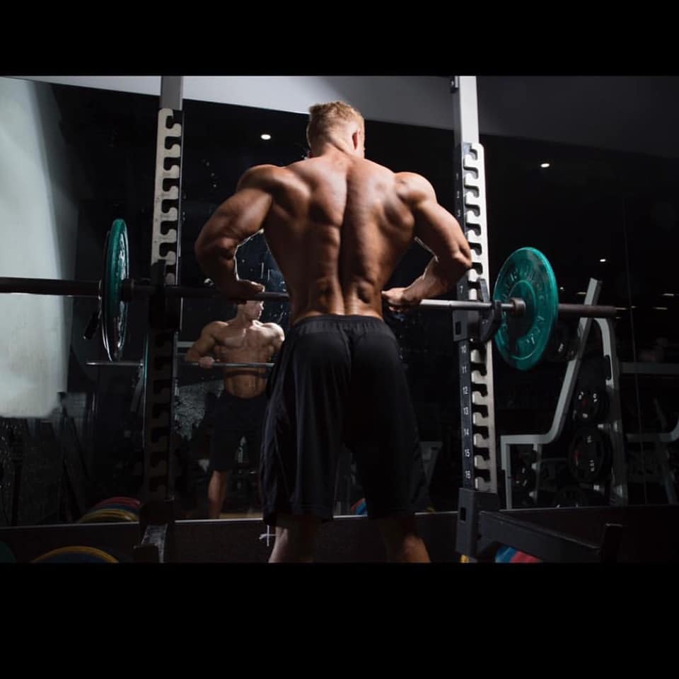 the beauty of male muscle 2019