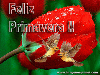 imagenes feliz primavera 2018 hola bienvenida frases