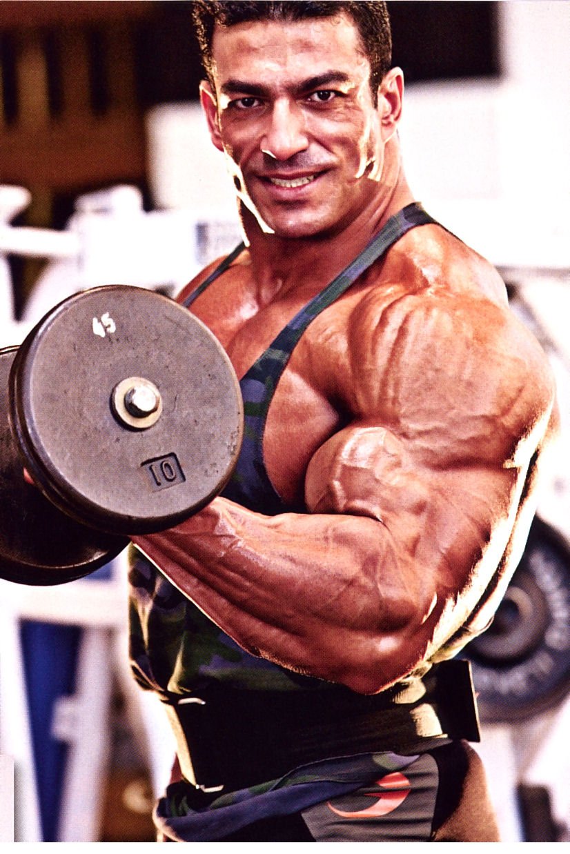 Tarek Elsetouhi