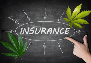 Marijuana collective insurance
