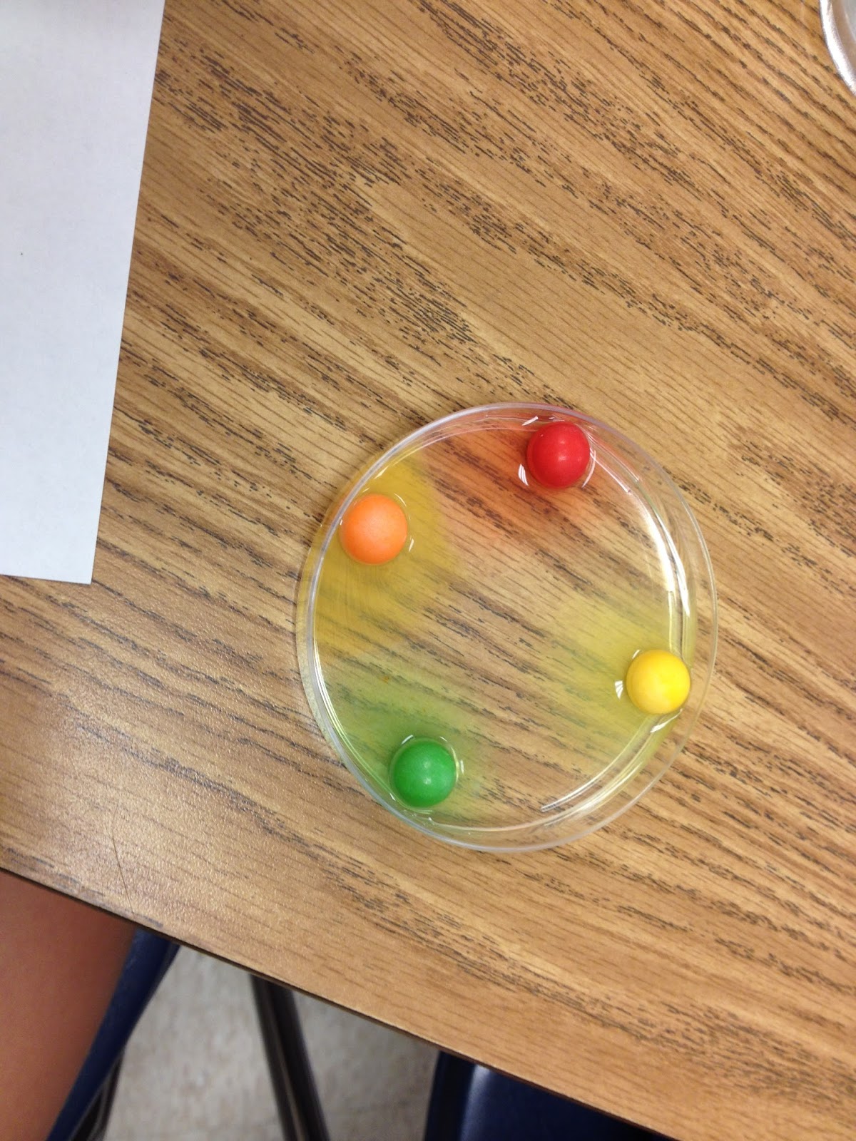 Gobstopper Experiment Worksheet