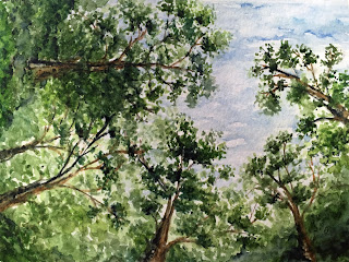 tree watercolor looking up ireland trees forest blarney castle finished orsoni