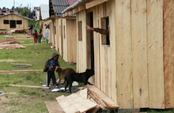 Padres de familia no esperaron al gobierno, ellos levantaron con madera la escuela de sus hijos. Padres de familia no esperaron al gobierno, ellos levantaron con madera la escuela de sus hijos.