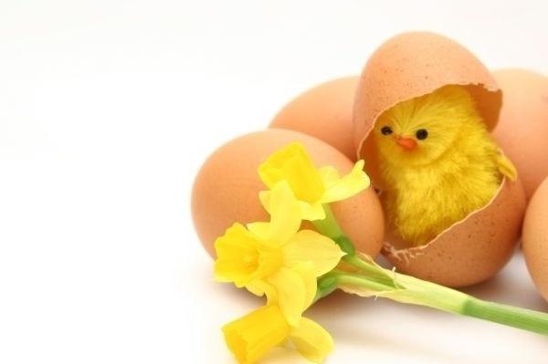 Trzymajcie za Ewę kciuki