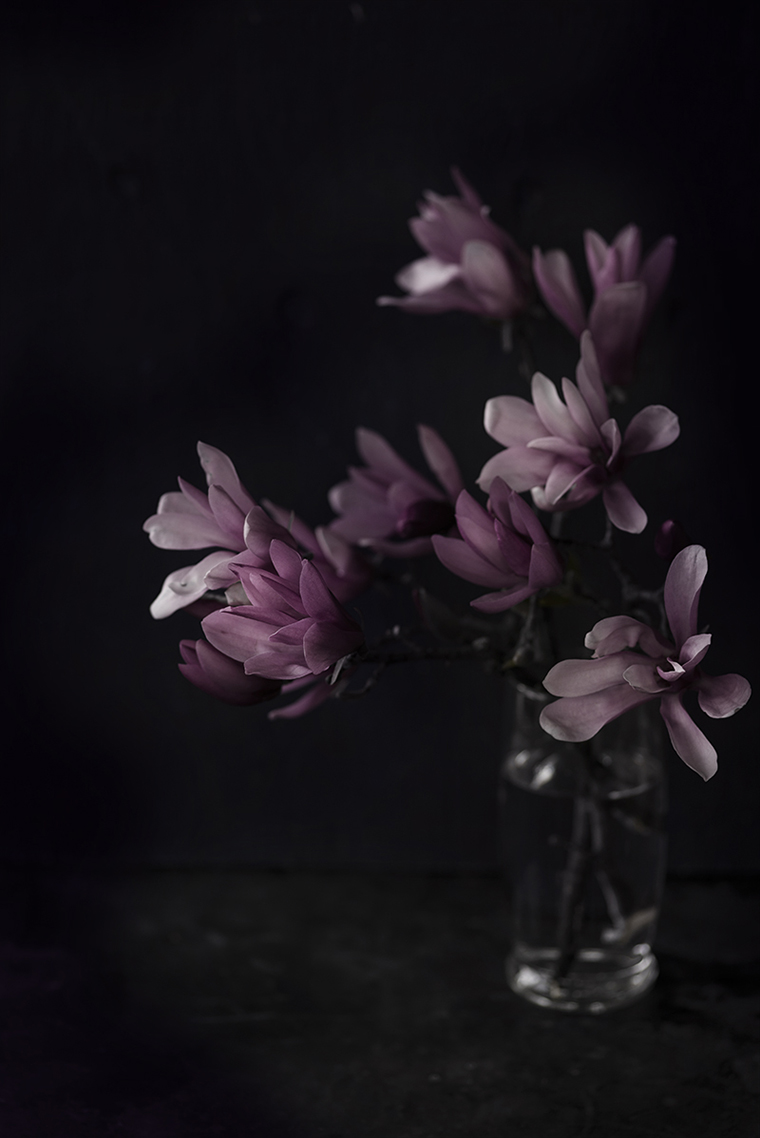 Still life photography  inspired from  chiaroscuro paintings. 