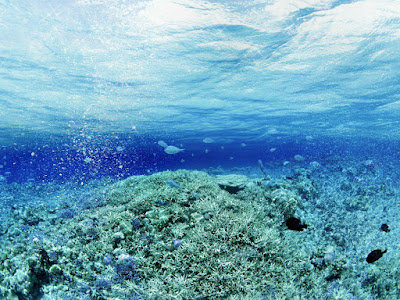 ltR4fhs underwater background