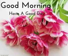 good morning flowers images hd