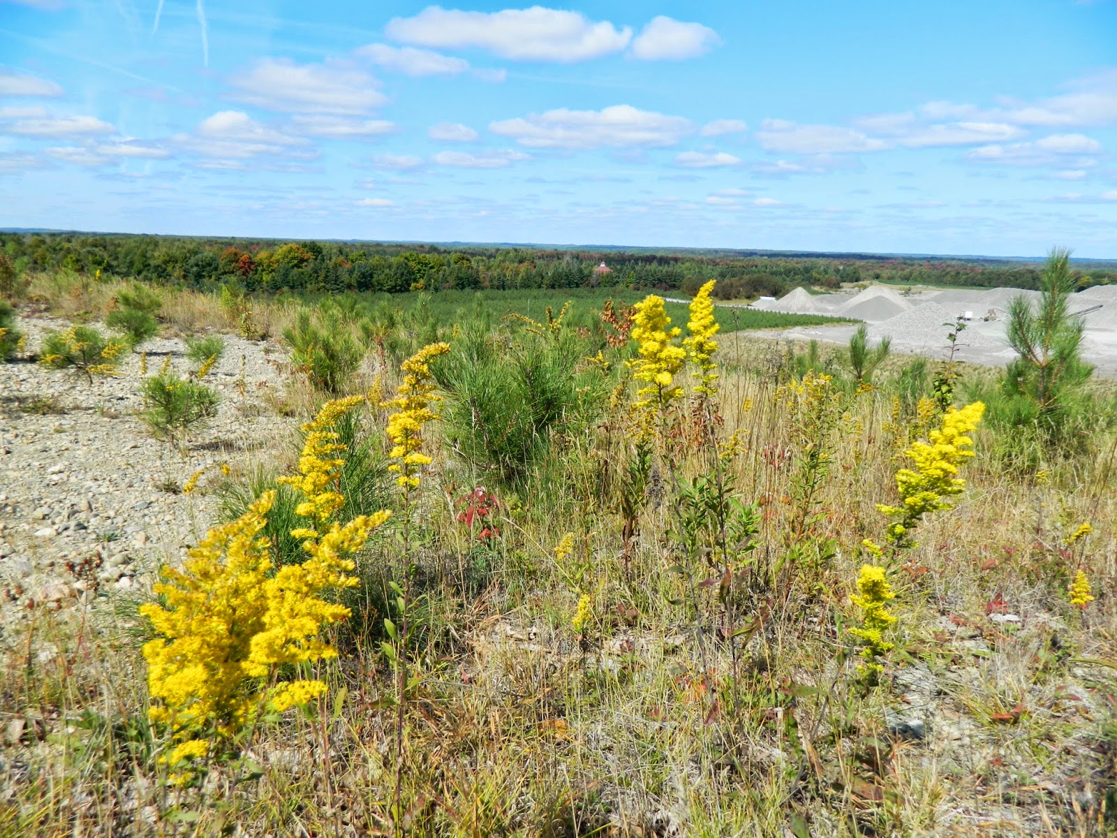 Journeying Geographer Day 18 The Canadian Shield