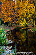 Park Oliwski -  jesień