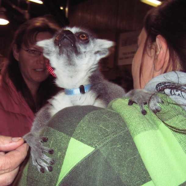 LOvely Pets Innisfail Odd and Unusual Animal and Bird Auction