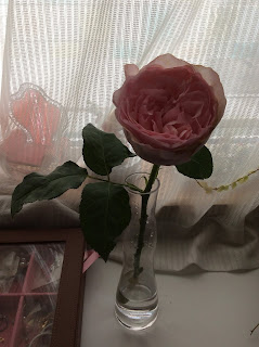 未来の私が読む日記