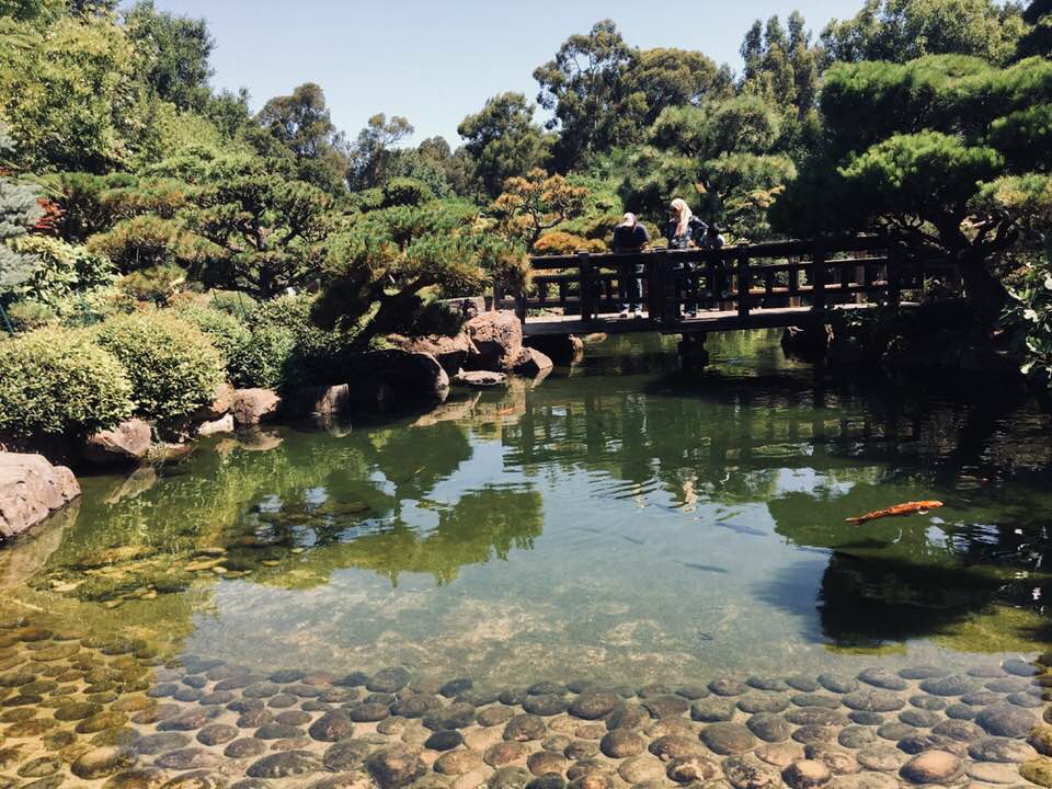 Captivated Reader Little Free Library and the Hayward Japanese Garden