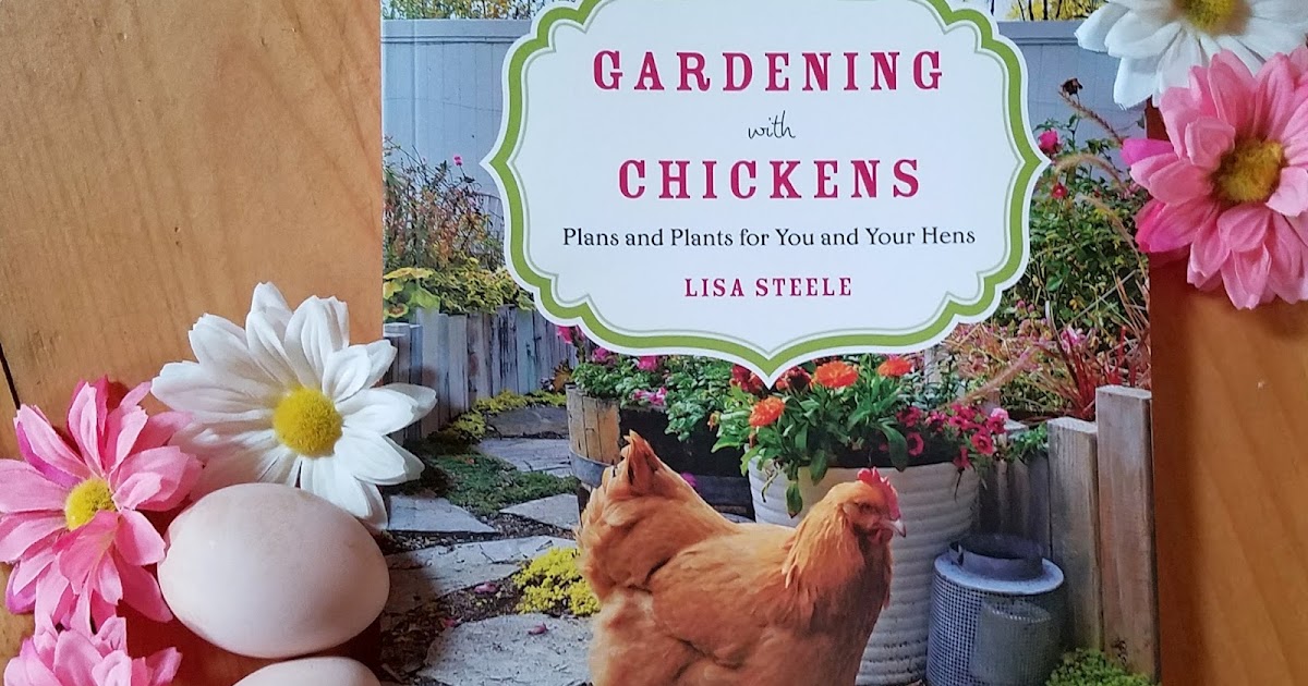 Gardening with Chickens Fresh Eggs Daily®