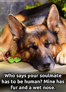 Who says your soulmate has to be human? Mine Has fur and a wet nose