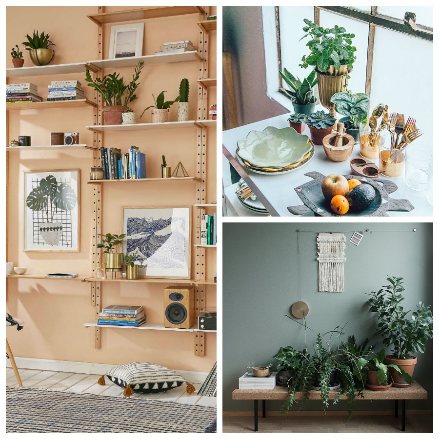 decoracion plantas interior 4