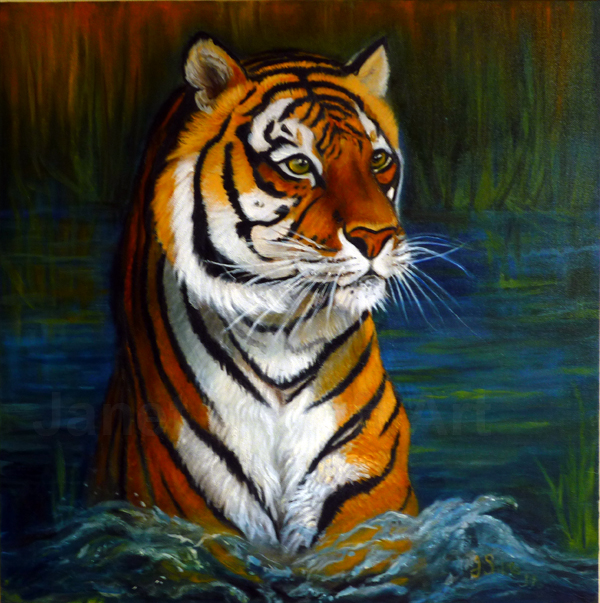 Bathing Tiger