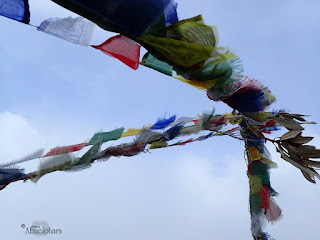 Trekking_21_dias_en_Nepal_Fotografias