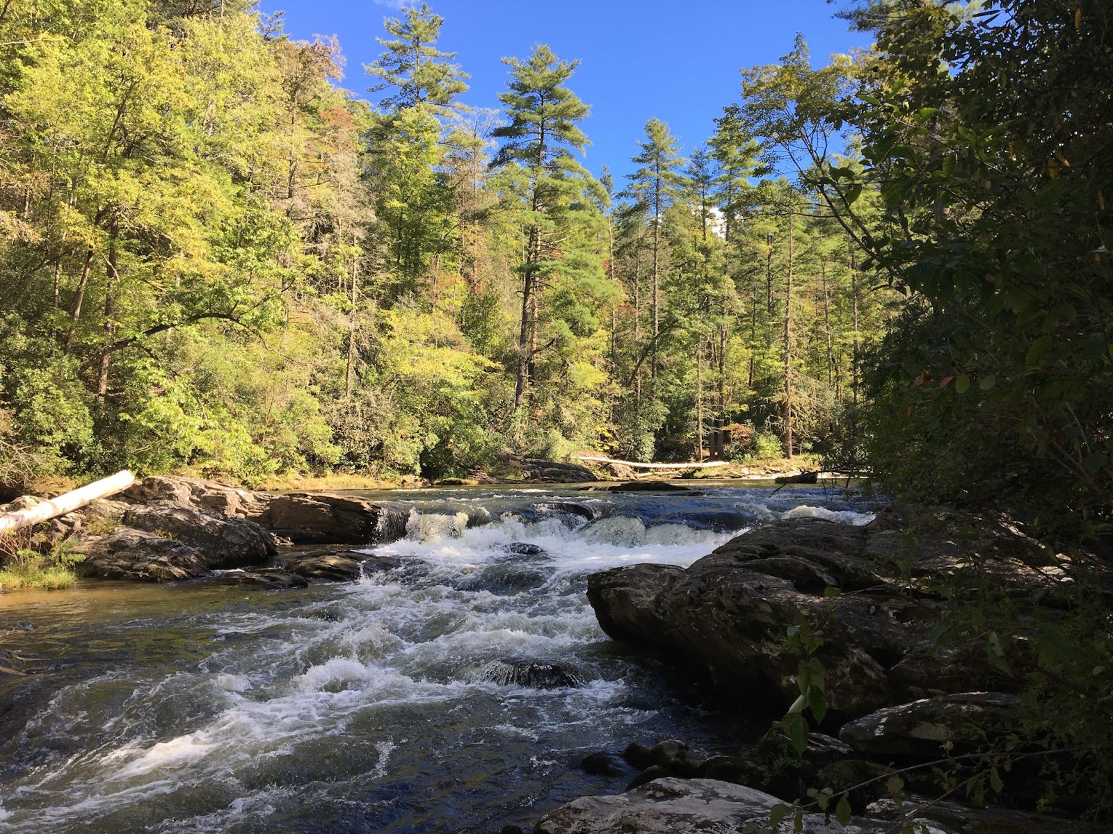 Femme au foyer The Wild and Scenic Chattooga River & trail