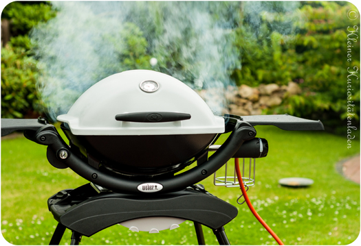 Weber Gasgrill Q1200 