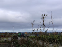 Allotment With A Sea View - Cornwall