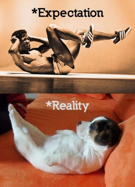 Workout - Expectation vs Reality