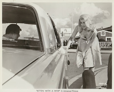 Kittne With A Whip 1964 Ann Margret Image 4