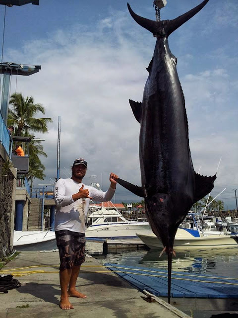 7 Daftar Ikan Terbesar Di Dunia, Yuk di simak! | Berita Jujur