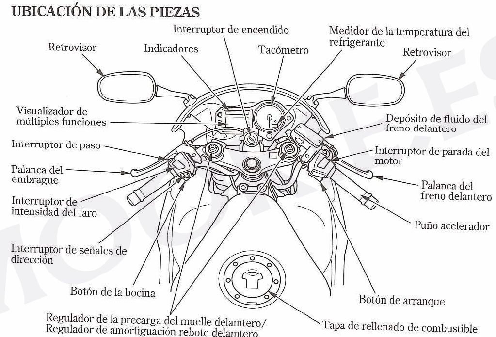 escuela de motovelocidad