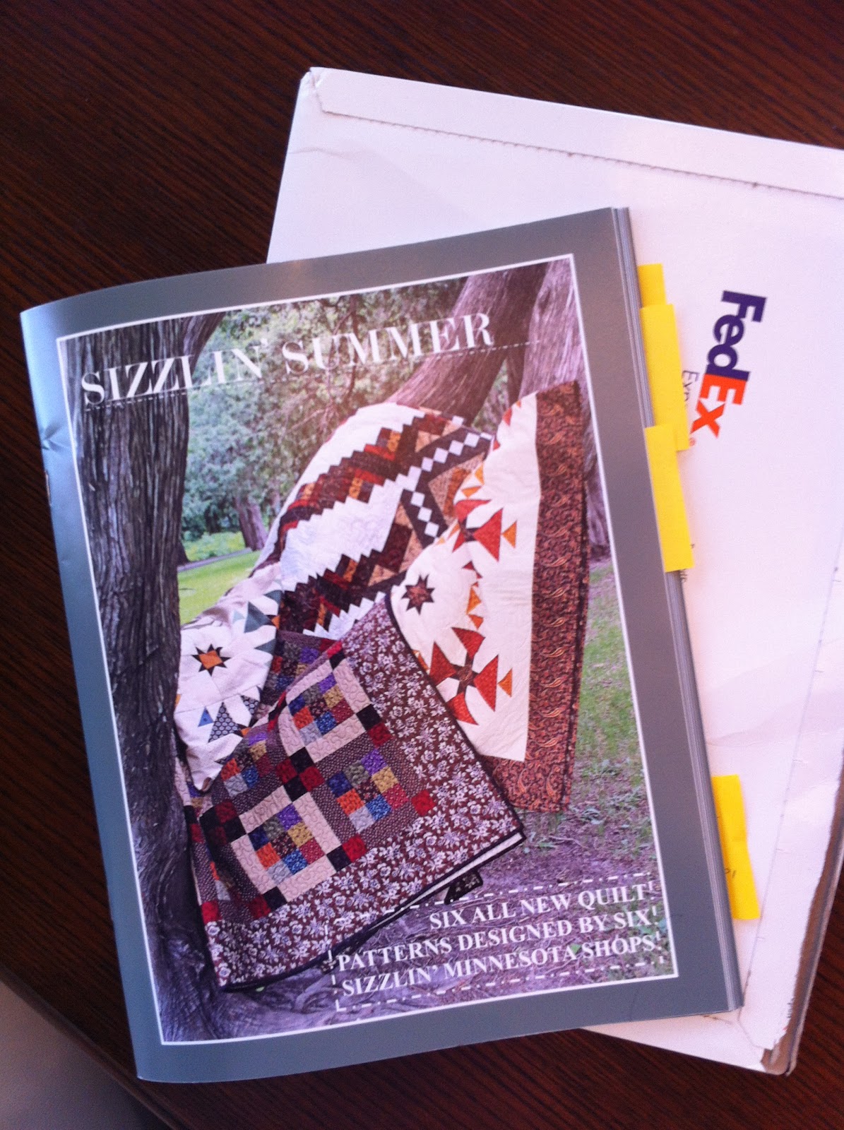 SIZZLIN' SUMMER HOP Pine Needles Quilt & Sew Rochester's newest