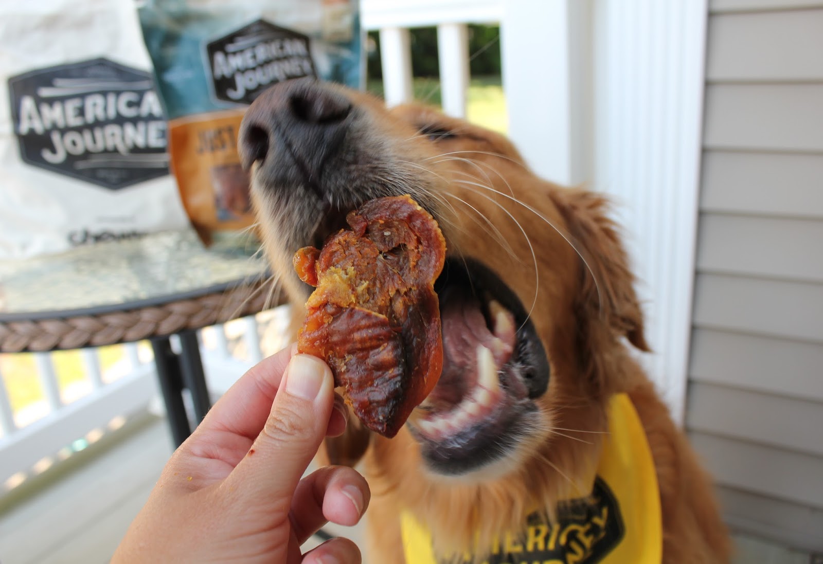 American Journey Just Turkey Jerky