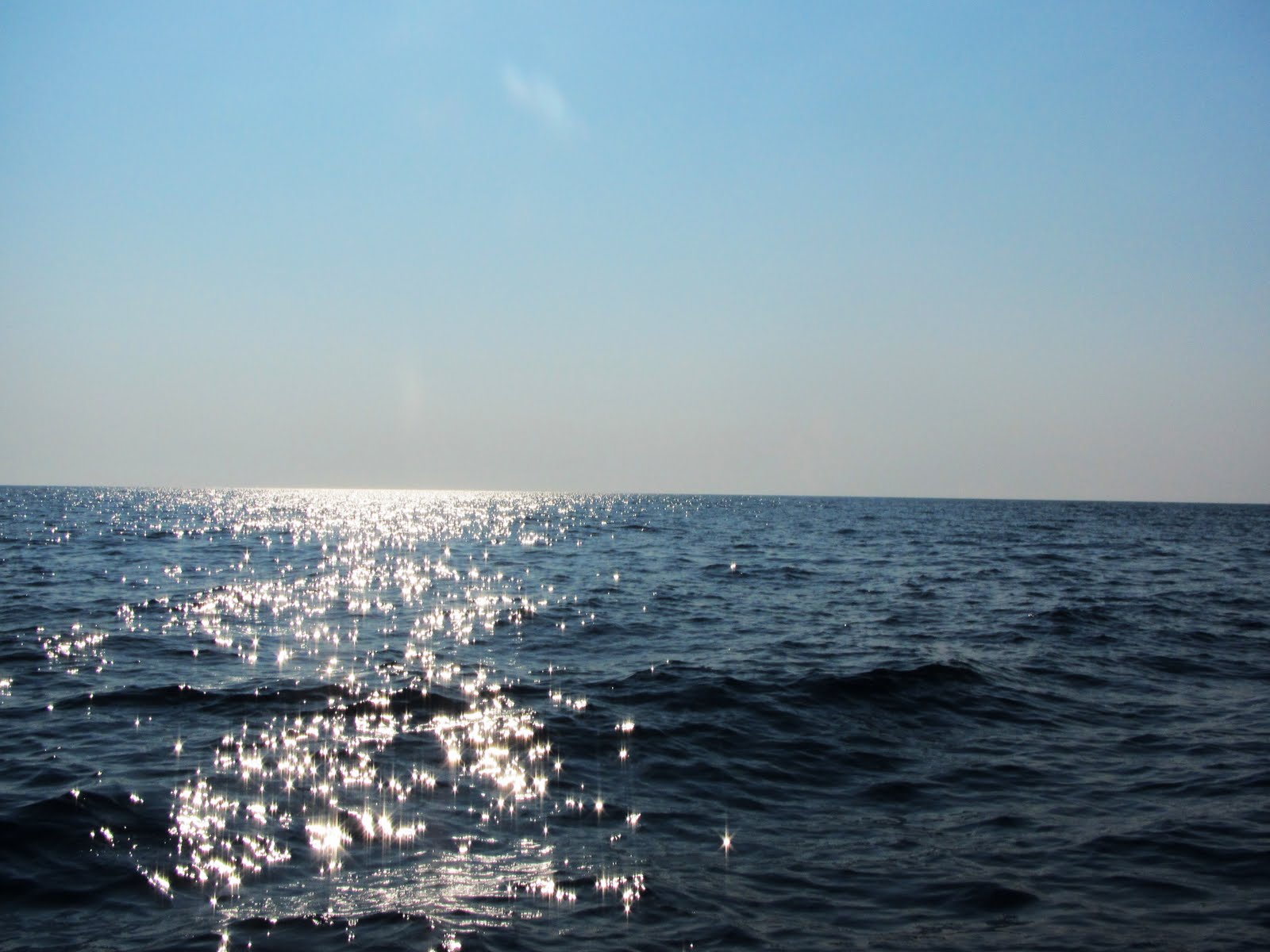 Черное море. Сочи адлер море. Адлер берег моря. Черное море сочи. Черное море сочи адлер.