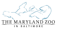 The Maryland Zoo Internships