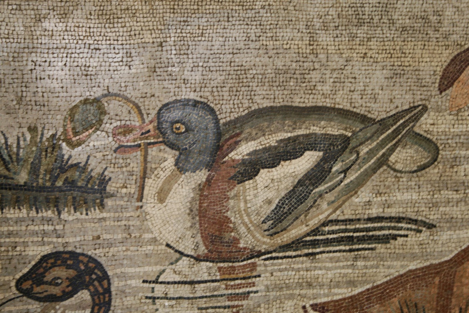 Villa romana de Carranque: Aviarium, consumo y caza de aves en Roma