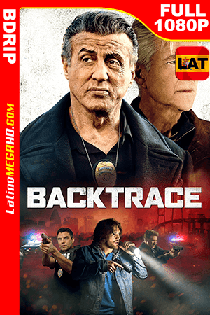 Amnesia (2018) Latino FULL HD BDRIP 1080P (2018)