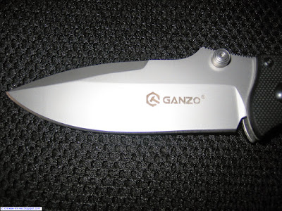 Blade detail Ganzo G704